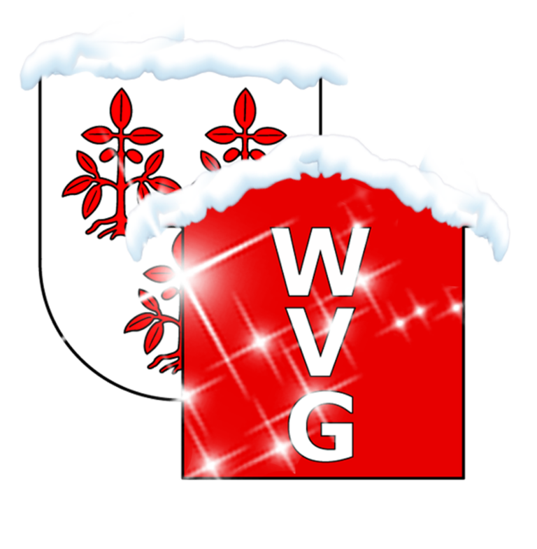 Logo Schnee Kopie Wohnungs- und Verwaltungsgesellschaft Nossen mbH