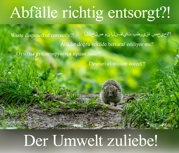 Abfaelle richtig entsorgt2 Wohnungs- und Verwaltungsgesellschaft Nossen mbH